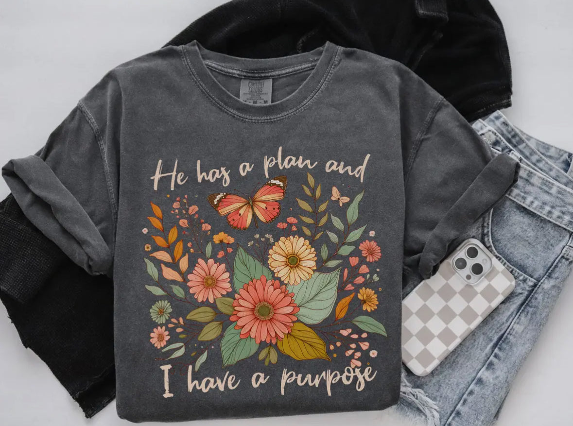 He Has A Plan and I Have A Purpose Graphic Tee