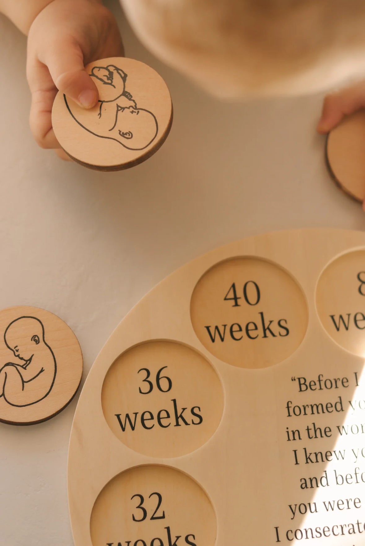 Miracle of Life Puzzle