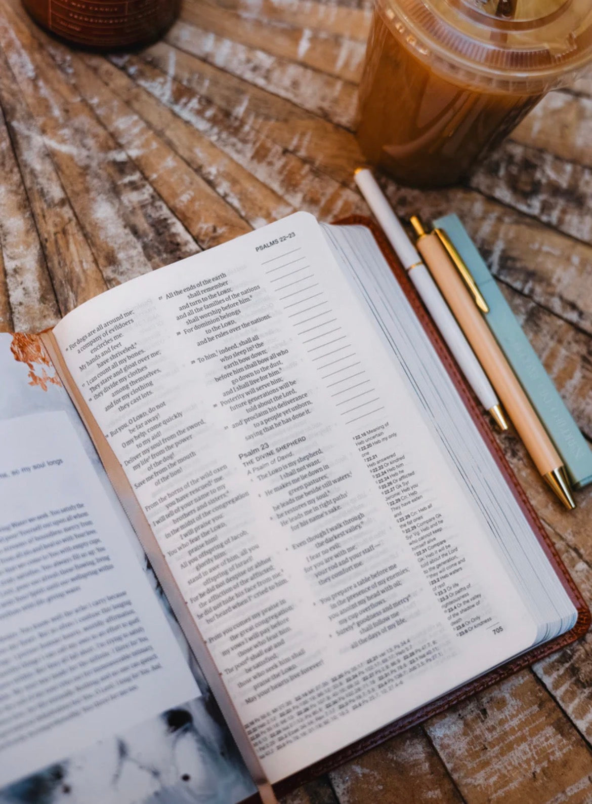 *PRE-ORDER* Catholic Compact Journaling Bible