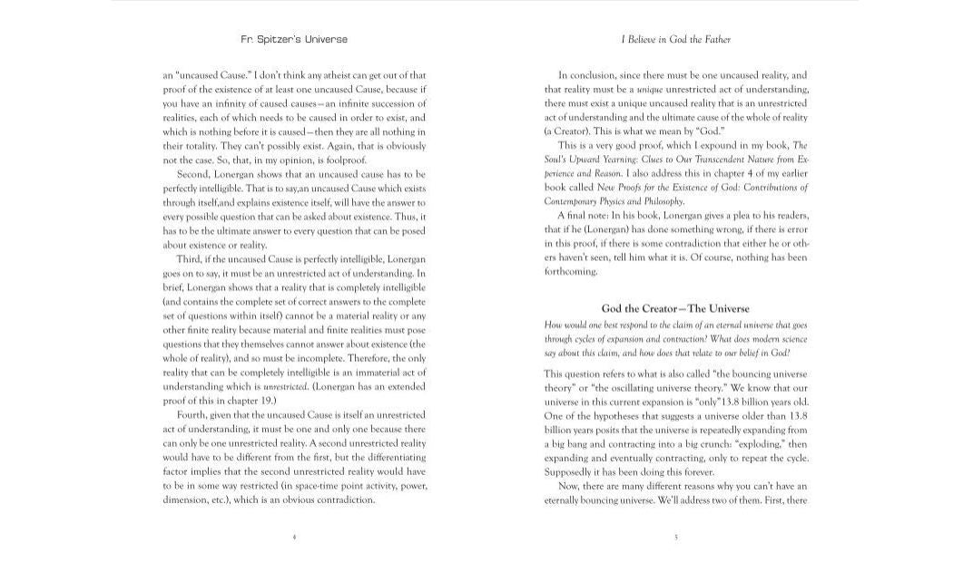 Fr. Spitzer’s Universe