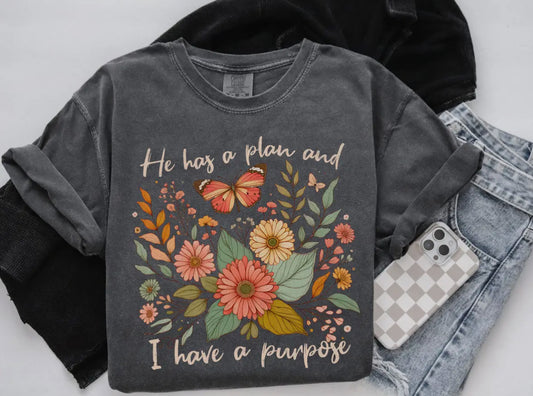 He Has A Plan and I Have A Purpose Graphic Tee