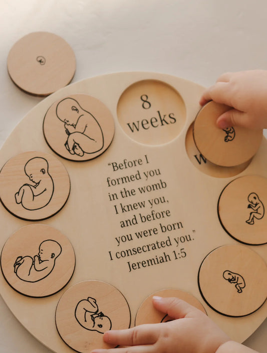 Miracle of Life Puzzle
