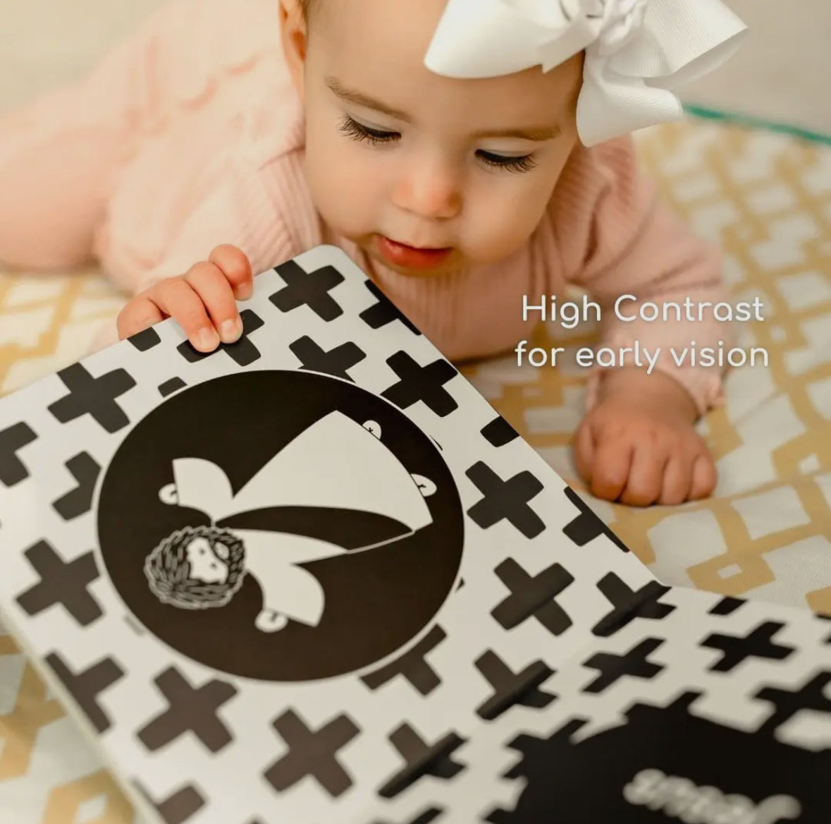 Baby's 1st Catholic Book: A High Contrast Board Book